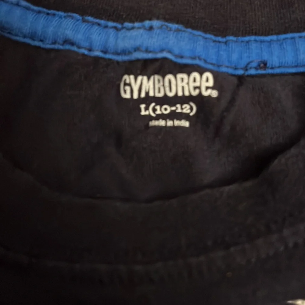 Gymboree Embroidered Graphic Bear Tee